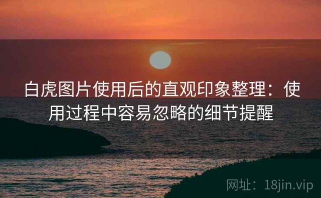 白虎图片使用后的直观印象整理：使用过程中容易忽略的细节提醒