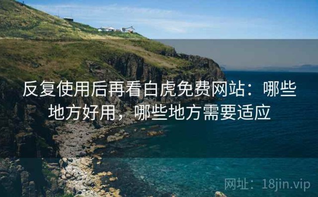 反复使用后再看白虎免费网站：哪些地方好用，哪些地方需要适应