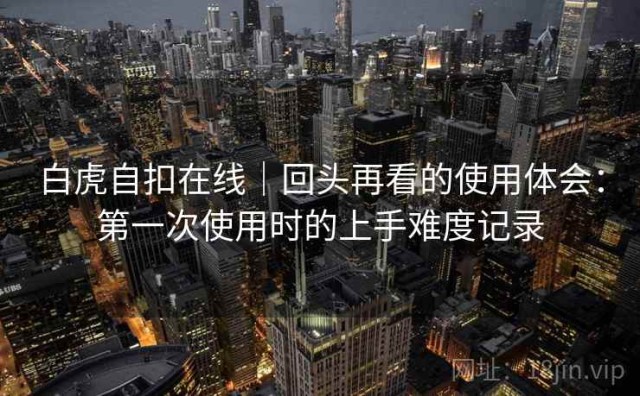 白虎自扣在线｜回头再看的使用体会：第一次使用时的上手难度记录