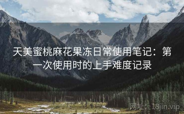 天美蜜桃麻花果冻日常使用笔记：第一次使用时的上手难度记录