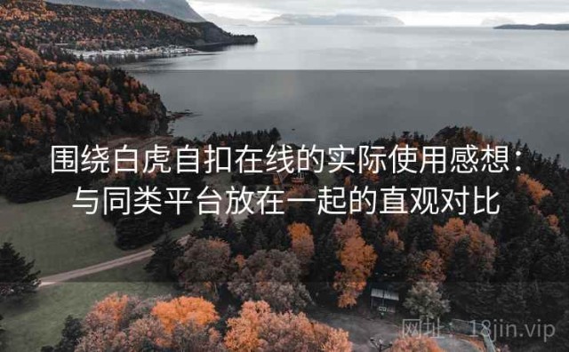 围绕白虎自扣在线的实际使用感想：与同类平台放在一起的直观对比
