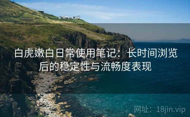 白虎嫩白日常使用笔记：长时间浏览后的稳定性与流畅度表现