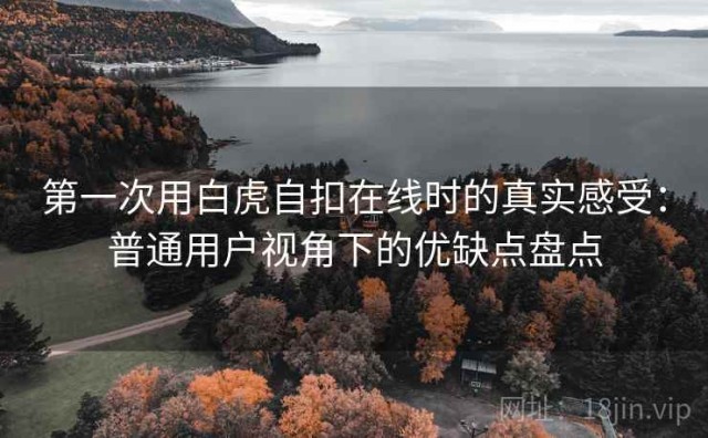 第一次用白虎自扣在线时的真实感受：普通用户视角下的优缺点盘点
