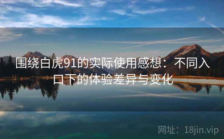 围绕白虎91的实际使用感想：不同入口下的体验差异与变化
