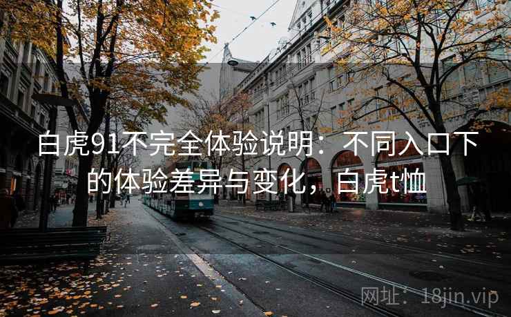 白虎91不完全体验说明：不同入口下的体验差异与变化，白虎t恤