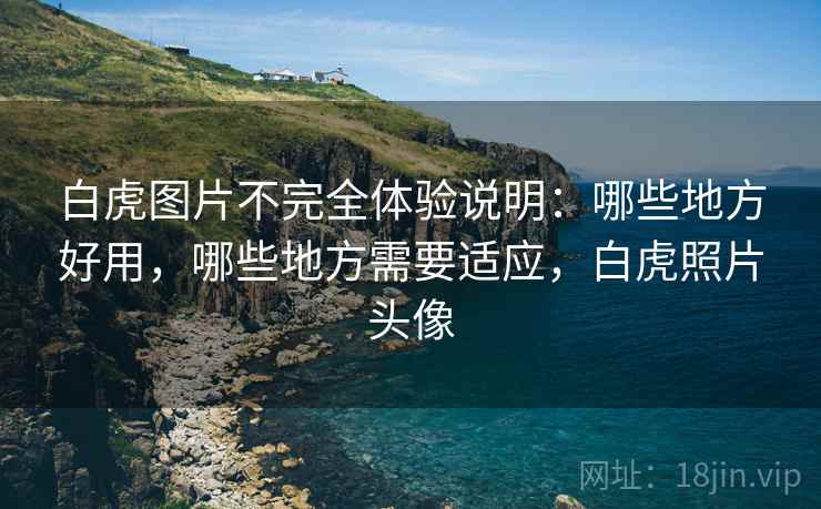 白虎图片不完全体验说明：哪些地方好用，哪些地方需要适应，白虎照片头像