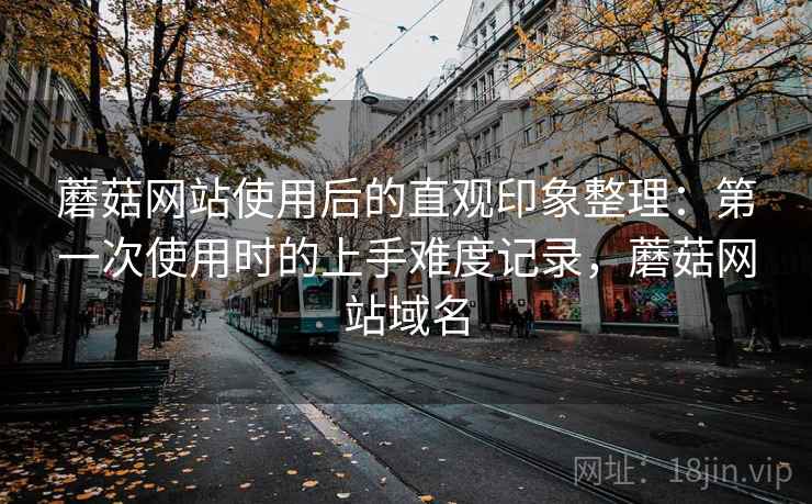 蘑菇网站使用后的直观印象整理：第一次使用时的上手难度记录，蘑菇网站域名