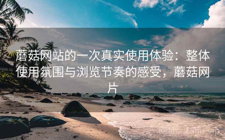 蘑菇网站的一次真实使用体验：整体使用氛围与浏览节奏的感受，蘑菇网片