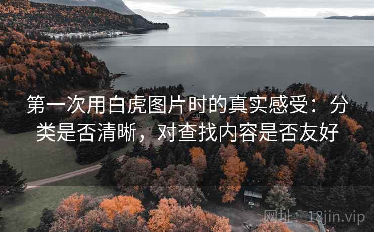 第一次用白虎图片时的真实感受：分类是否清晰，对查找内容是否友好