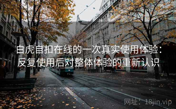白虎自扣在线的一次真实使用体验：反复使用后对整体体验的重新认识
