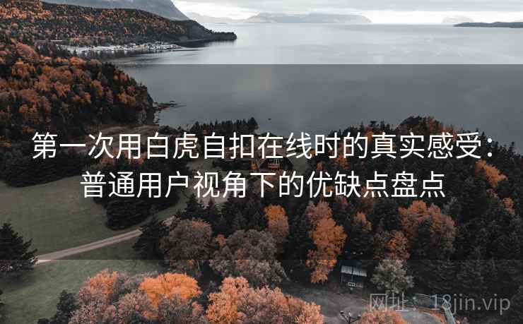 第一次用白虎自扣在线时的真实感受:普通用户视角下的优缺点盘点 第一次用白虎自扣在线时的真实感受:普通用户视角下的优缺点盘点